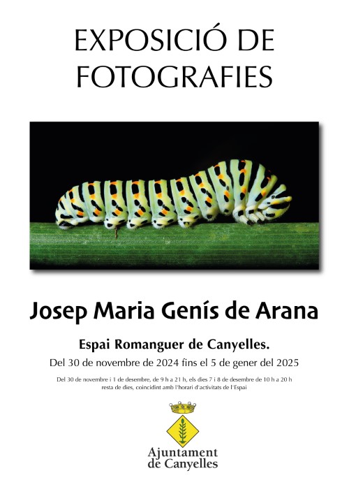 2024 11 exposiciofotografies