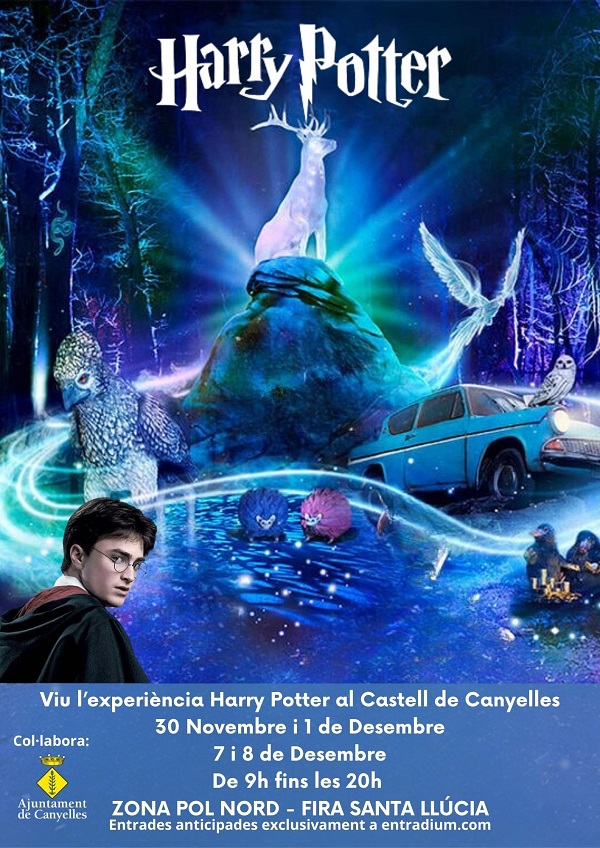 2024 12 07 harrypotter