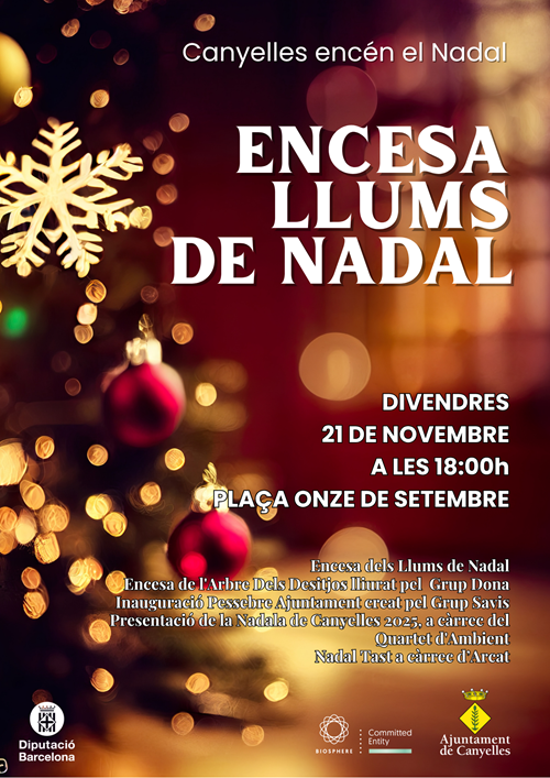 2025 11 21 encesadellums cartell