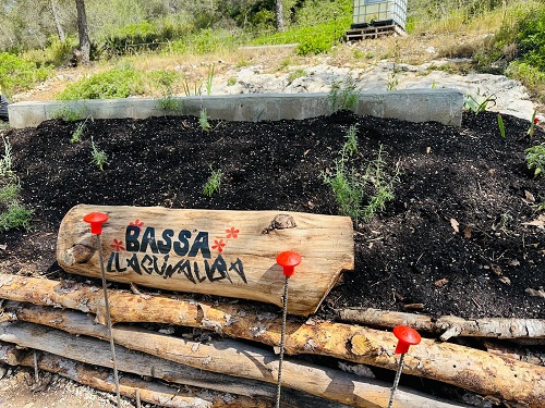 2025 06 11 bassallacunalba1