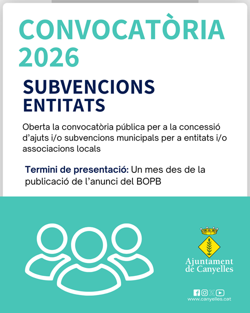2026 02 13 subvencions